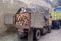 امسال 70 تن چوب قاچاق در مهاباد كشف شده است