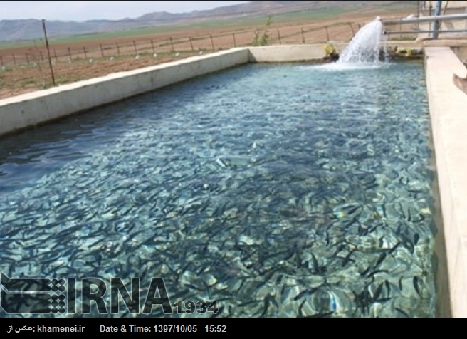Irán, primer país productor de truchas Irán, primer país productor de truchas