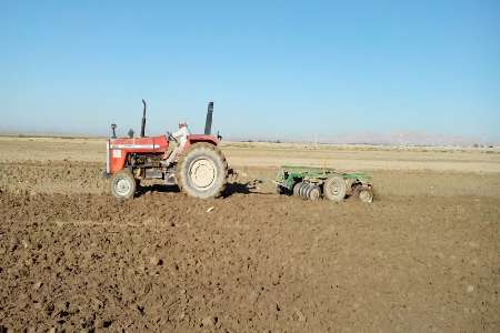 26 هزار هكتار از مزارع مياندوآب به كشت گندم اختصاص يافت
