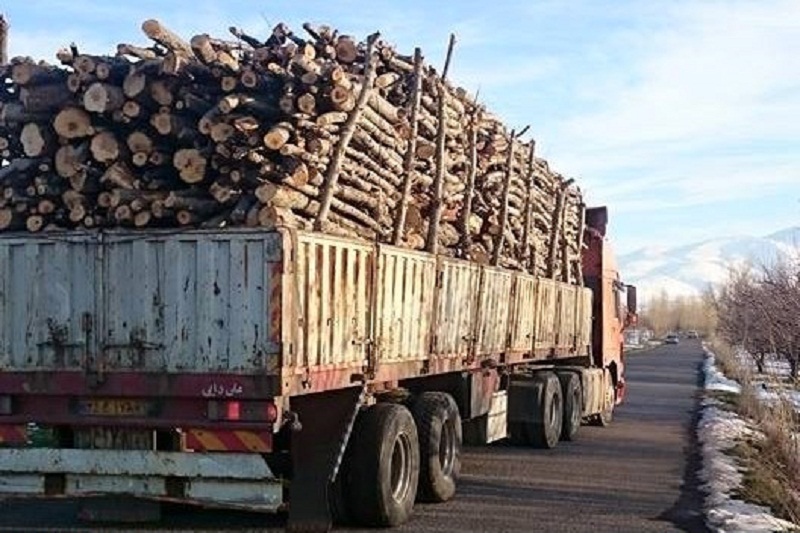 محموله 25 تني چوب قاچاق در مهاباد توقيف شد