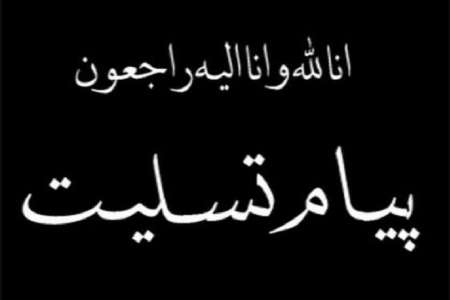 وجوه شخصيتي آيت الله هاشمي شاهرودي الگوي طالبان حقيقت است