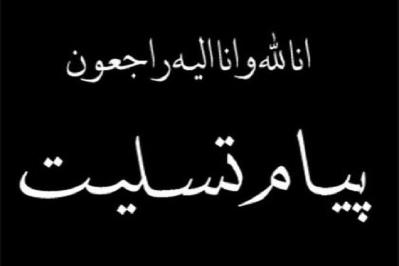 وجوه شخصيتي آيت الله هاشمي شاهرودي الگوي طالبان حقيقت است