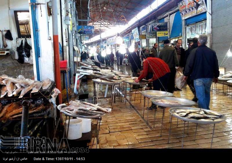 Irán exportará productos pesqueros a los países balcánicos Irán exportará productos pesqueros a los países balcánicos