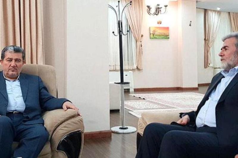 Iran's support for Palestinian cause derived from Islamic principles Iran's support for Palestinian cause derived from Islamic principles
