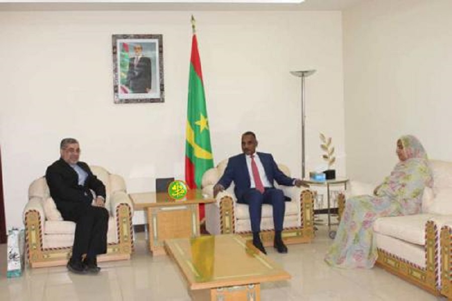 Iran, Mauritania officials discuss bilateral ties Iran, Mauritania officials discuss bilateral ties