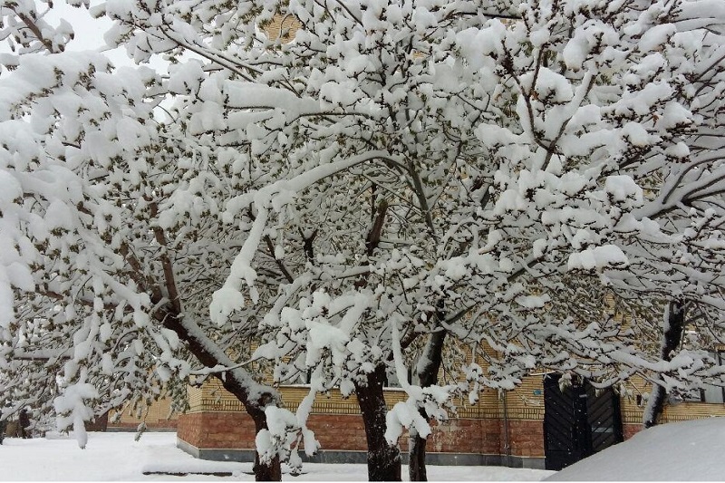 بارش برف و باران در آذربايجان غربي تا سه شنبه ادامه دارد