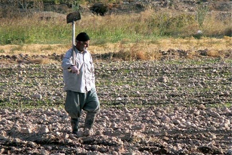 78 هزار خانوار روستايي در آذربايجان غربي بيمه هستند