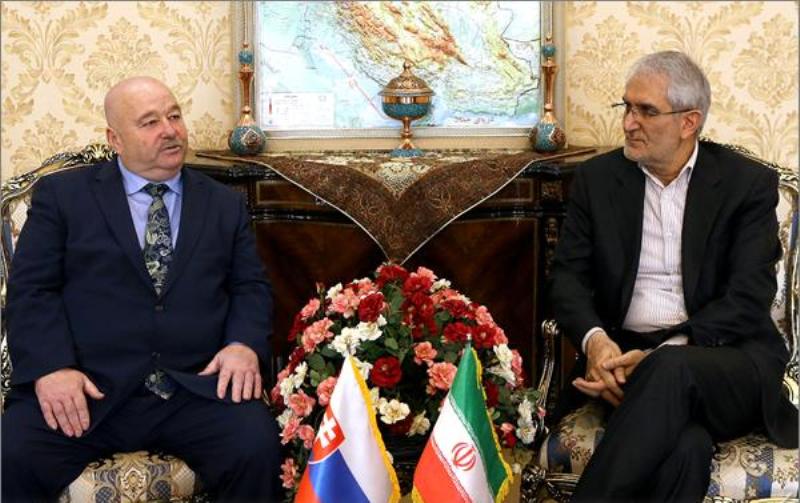Iran, Slovakia call for development of business cooperation Iran, Slovakia call for development of business cooperation