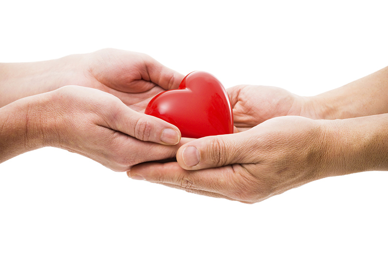 Iran ranks 26 in world's organ donation Iran ranks 26 in world's organ donation