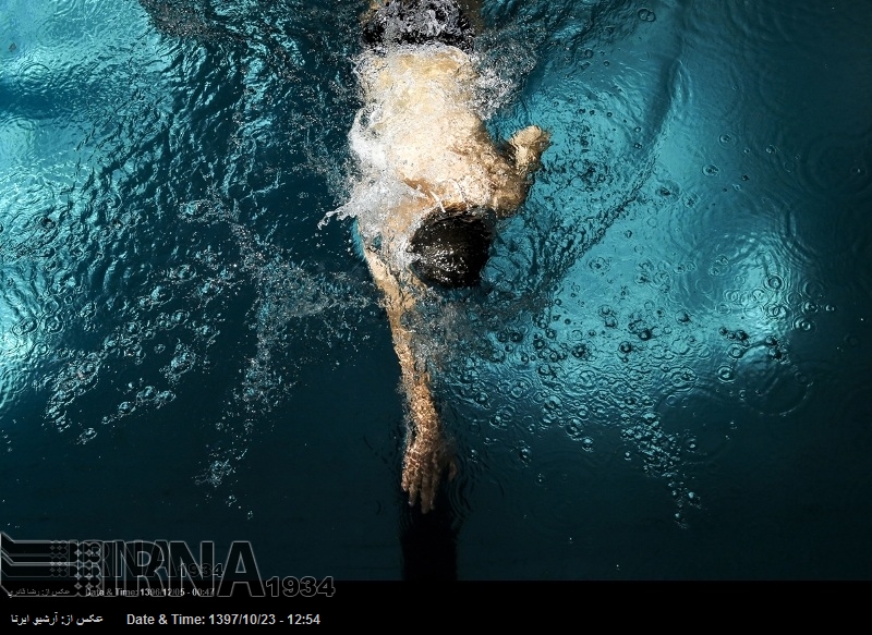 ФИНА предоставила грант чемпиону Ирана по плаванию ФИНА предоставила грант чемпиону Ирана по плаванию