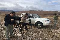 سرشماری پرندگان در 70 زیستگاه آذربایجان غربی آغاز شد