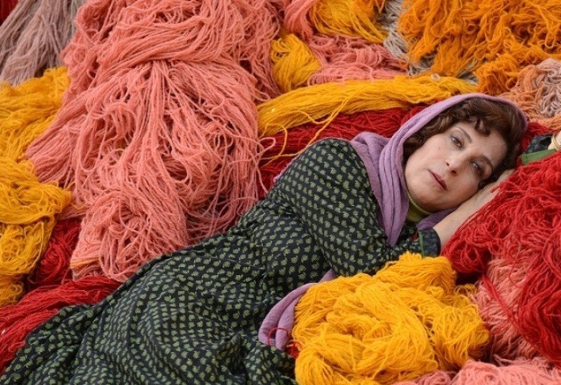 Iran 'African Violet' to be screened in France Iran 'African Violet' to be screened in France