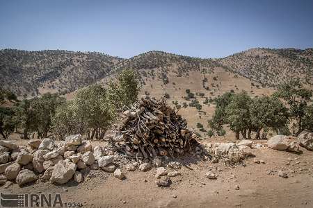 مرگ بی صدای زاگرس