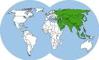 قرن 21، جهان آسیایی می شود