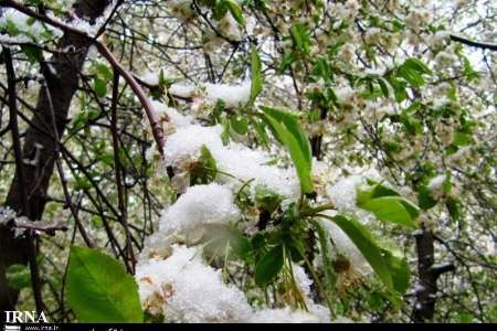 مدیران بحران خراسان شمالی از حوادث جا می مانند