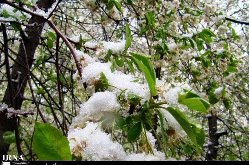 مدیران بحران خراسان شمالی از حوادث جا می مانند