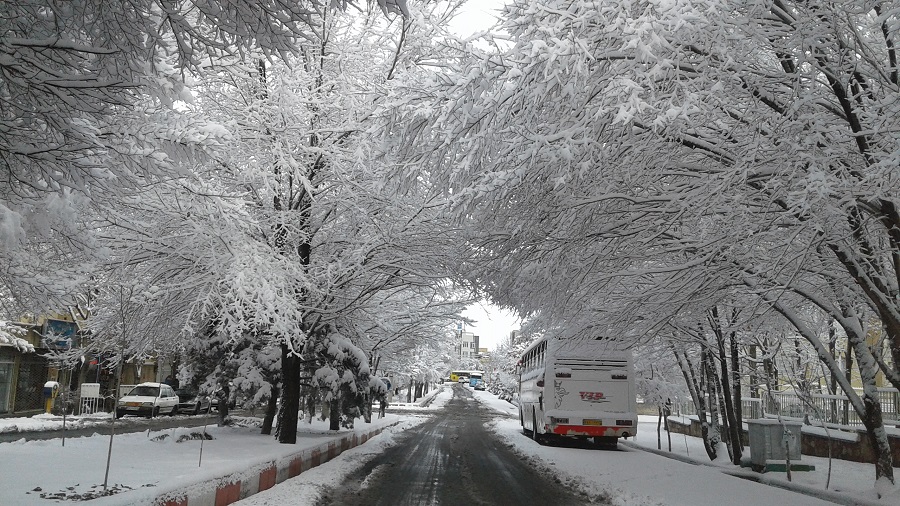 بارش برف در شیراز شروع شد
