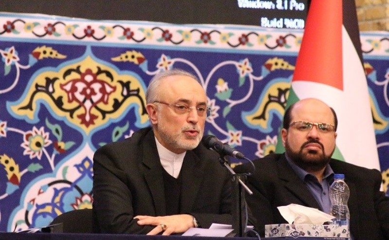صالحی: ایران كشوری مستقل در جهان و كلید طلایی منطقه است صالحی: ایران كشوری مستقل در جهان و كلید طلایی منطقه است