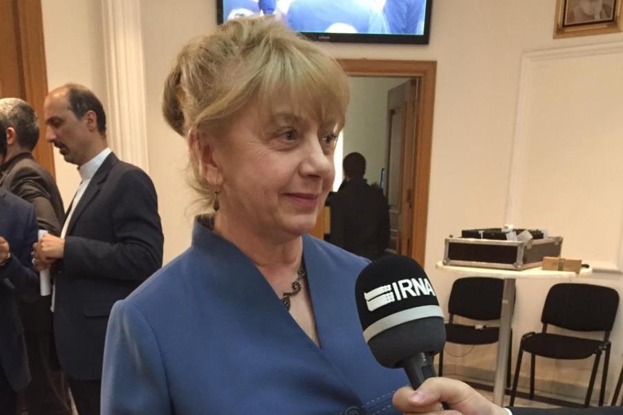Iranian journalist's detention continuation of US pressure: Expert Iranian journalist's detention continuation of US pressure: Expert