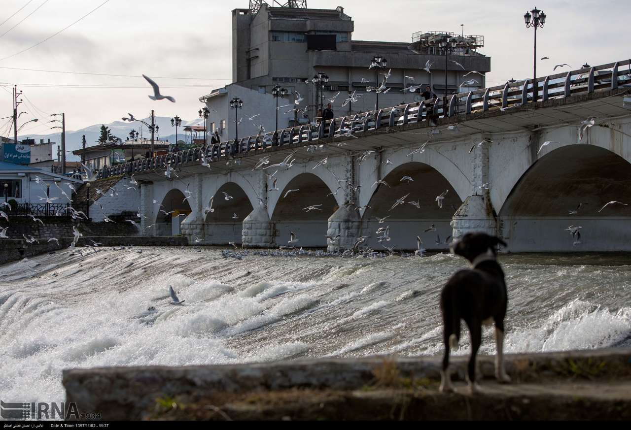 رودخانه چشمهکیله تنکابن؛ از کابوس سیل تا مزیت گردشگری