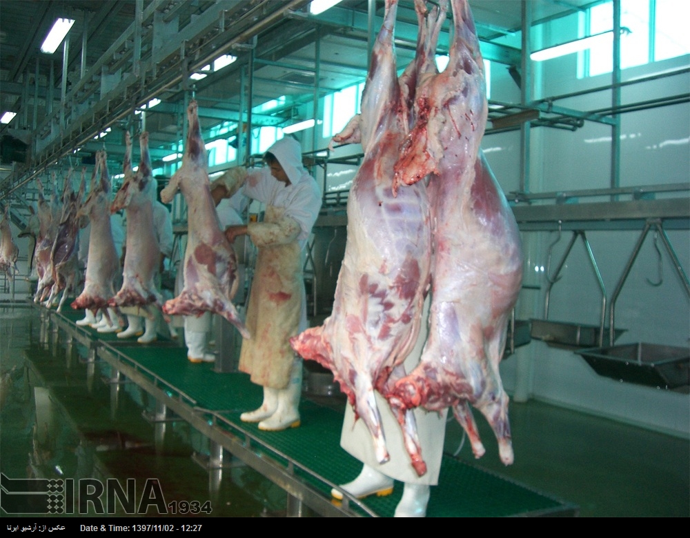 Россия и Иран согласовали поставки субпродуктов из баранины в Исламскую республику Россия и Иран согласовали поставки субпродуктов из баранины в Исламскую республику