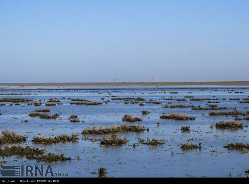 Gomishan International Wetland revived Gomishan International Wetland revived