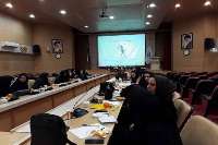 كارگاه آموزشي باروري سالم در تربت حيدريه برگزار شد
