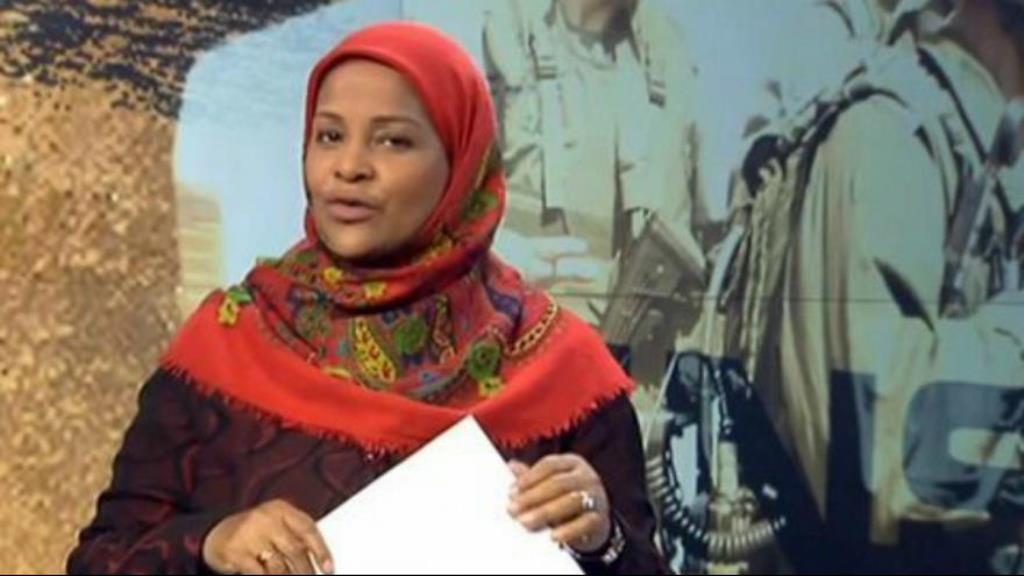Press TV anchor freed from US jail Press TV anchor freed from US jail