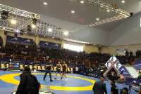 Takhti wrestling cup opens in Iran