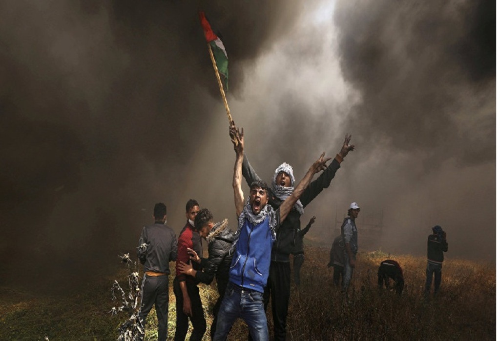 Israeli forces kill 1 Palestinian, injure 39 more in Gaza Israeli forces kill 1 Palestinian, injure 39 more in Gaza