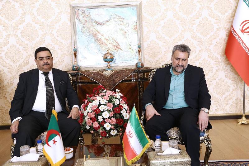 Algeria eyes more trade cooperation with Iran Algeria eyes more trade cooperation with Iran