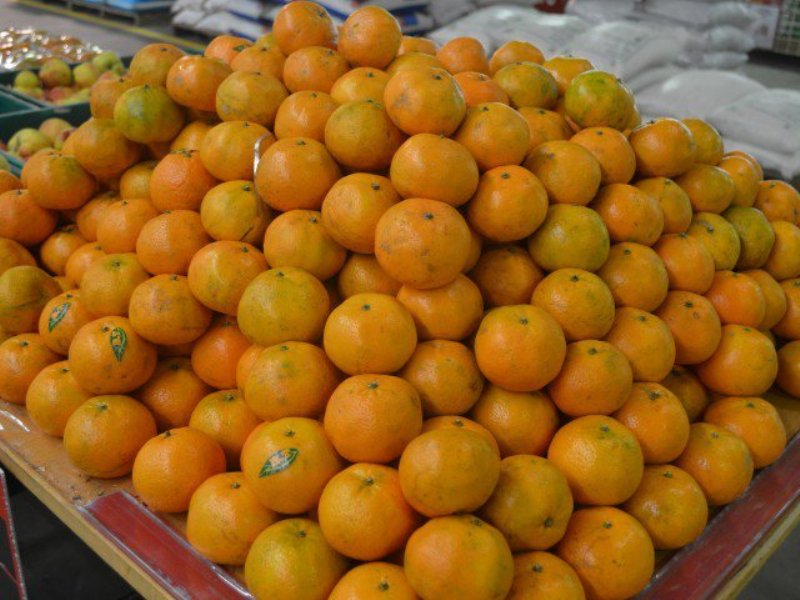 Pakistani fruit exporters want to capture Iranian market Pakistani fruit exporters want to capture Iranian market