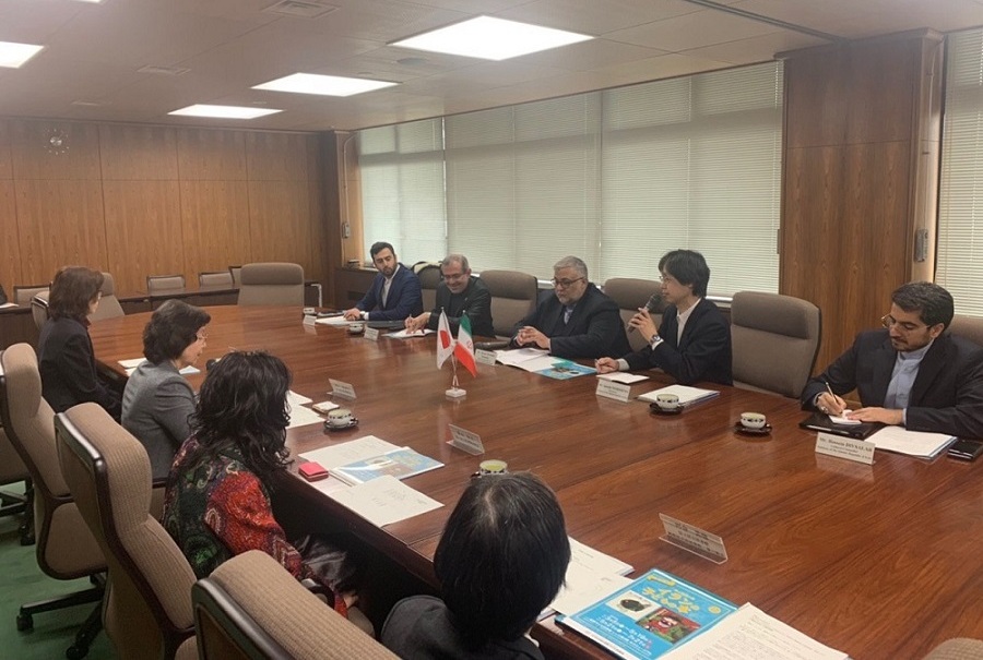 Iran, Japan enjoy immense cultural capacity Iran, Japan enjoy immense cultural capacity