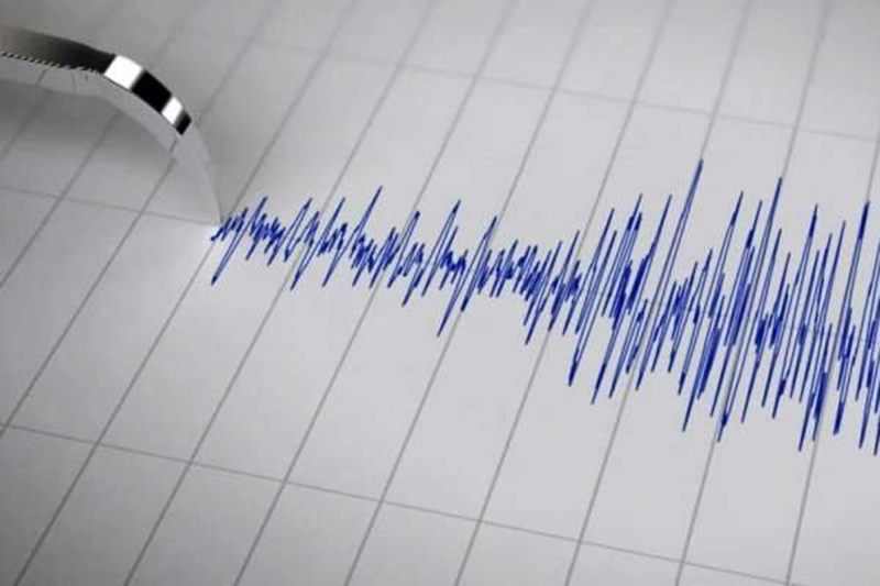 Light quake rocks SW Iran Light quake rocks SW Iran
