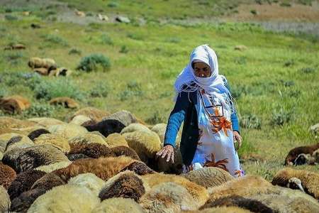 بيش از 82 هزار خانوار روستايي در آذربايجان غربي بيمه هستند