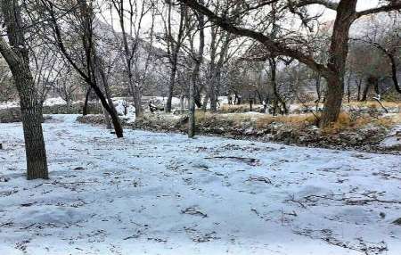 بارش برف و باران زمستانی در یزد