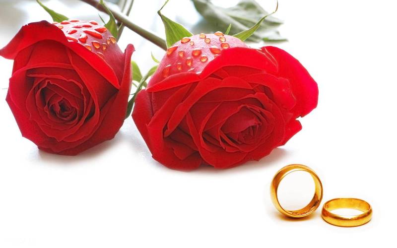 خراسان شمالي رتبه دوم عموميت ازدواج كشور را دارد خراسان شمالي رتبه دوم عموميت ازدواج كشور را دارد