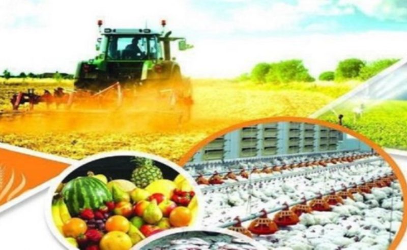 بيش از 16 هزار نفر در تعاوني هاي كردستان اشتغال دارند بيش از 16 هزار نفر در تعاوني هاي كردستان اشتغال دارند