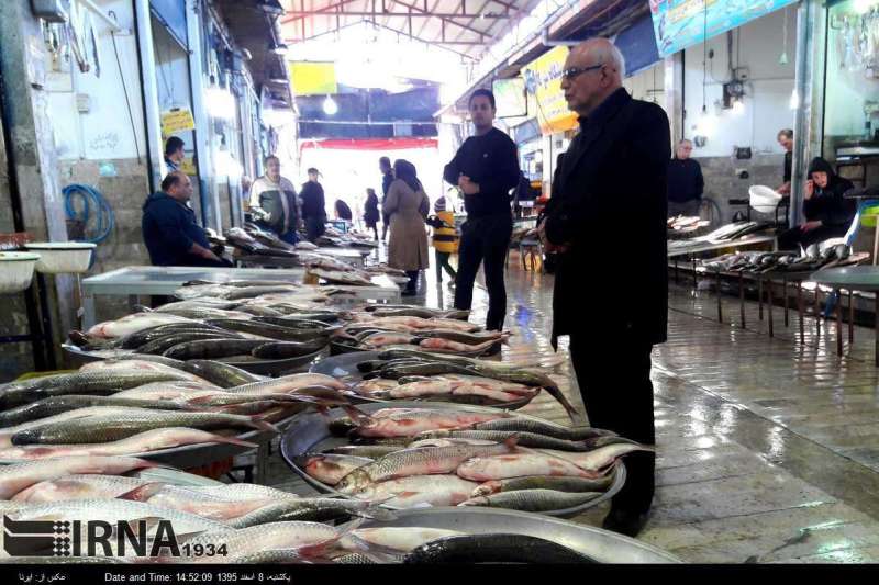 سهم آبزيان در سبد خانوار ايراني افزايش يابد