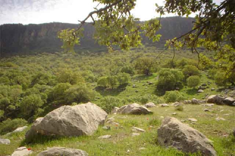 رستاخیز تماشایی طبیعت در گچساران