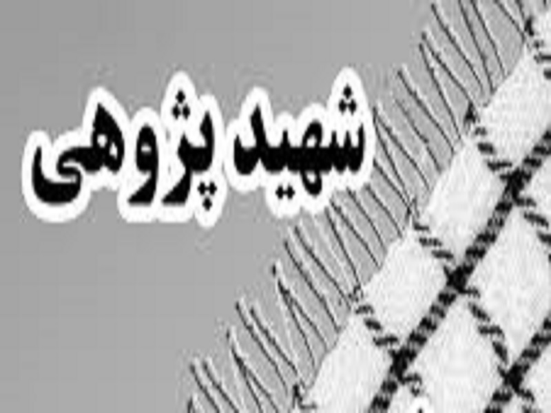 35 هزار دانش آموز خراساني در طرح شهيدپژوهي مشاركت دارند