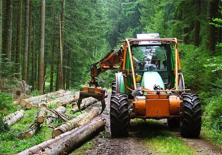 Wood loading center of exporting to Iran to be constructed in Astrakhan Wood loading center of exporting to Iran to be constructed in Astrakhan