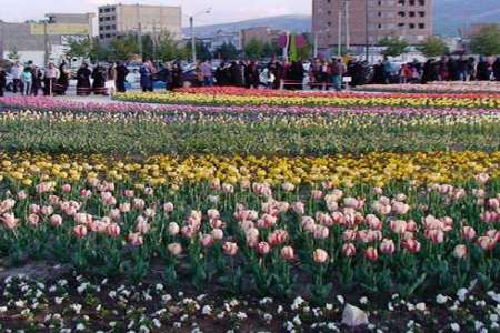 اروميه با 4 ميليون بوته گل به استقبال بهار مي رود