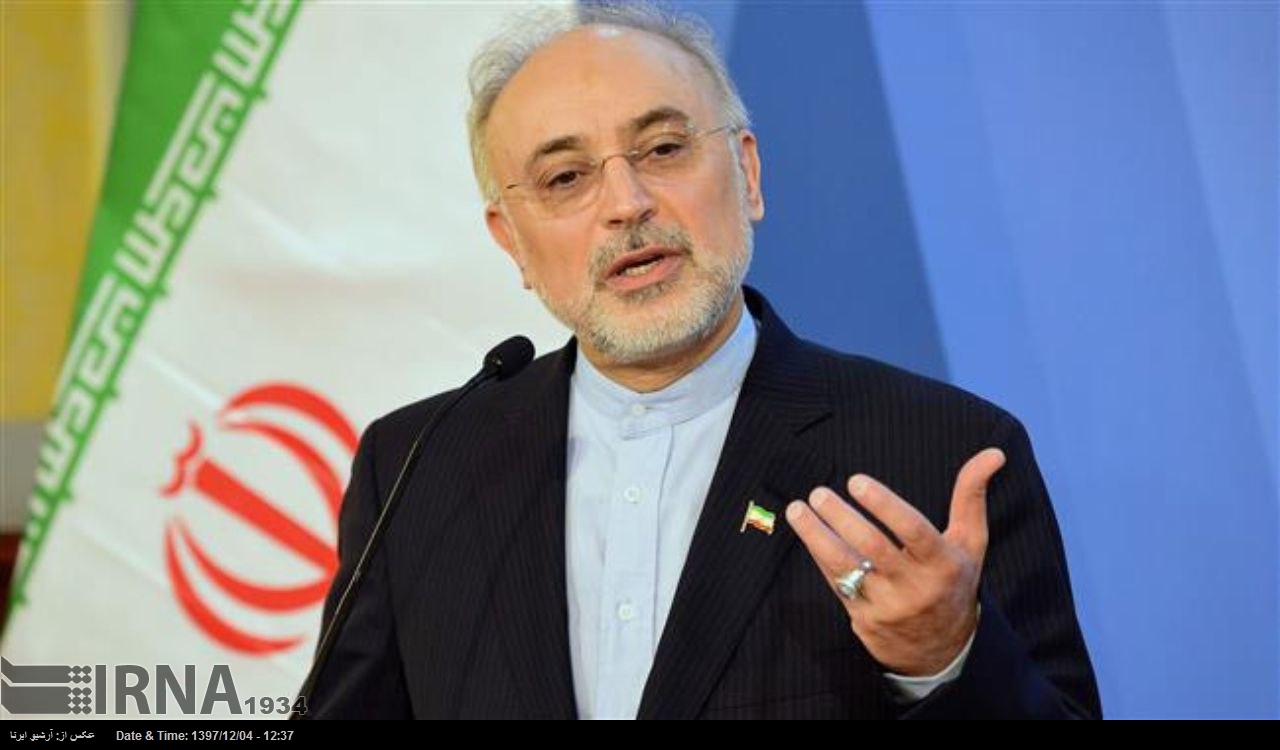 Salehi: No decidimos emocionalmente sobre el Plan Integral de Acción Conjunta Salehi: No decidimos emocionalmente sobre el Plan Integral de Acción Conjunta