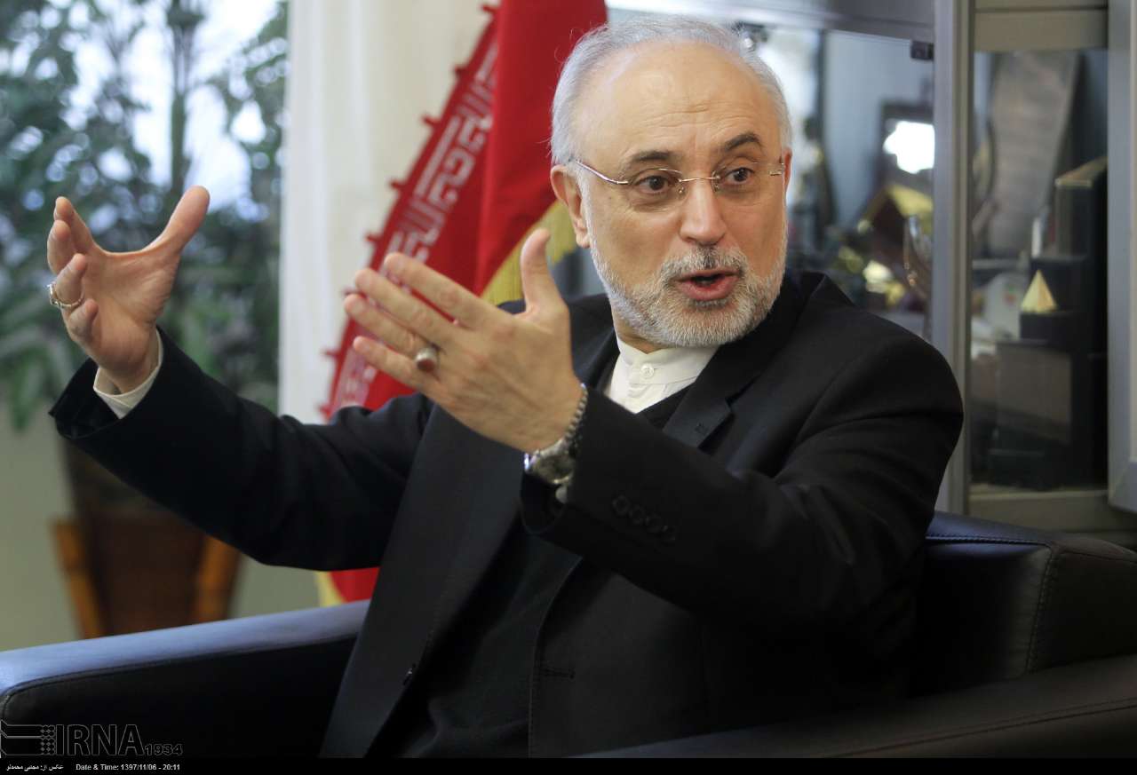 Iran wary of 'spontaneous, emotional' decisions on JCPOA: Atomic chief Iran wary of 'spontaneous, emotional' decisions on JCPOA: Atomic chief