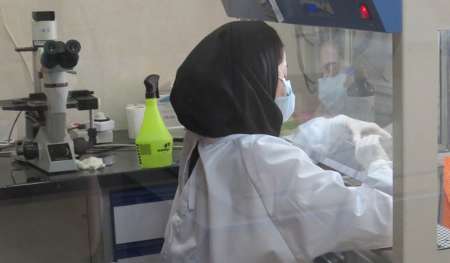راه اندازي آزمايشگاه تخصصي كشت سلولي در مركز ملي زيستي ايران