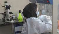 راه اندازي آزمايشگاه تخصصي كشت سلولي در مركز ملي زيستي ايران