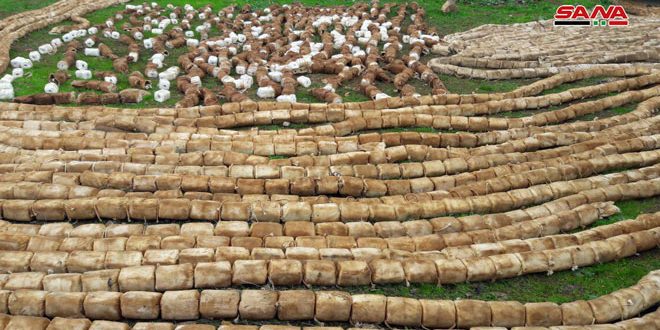 Syrian authorities find 8 tons of C4 left behind by terrorists Syrian authorities find 8 tons of C4 left behind by terrorists