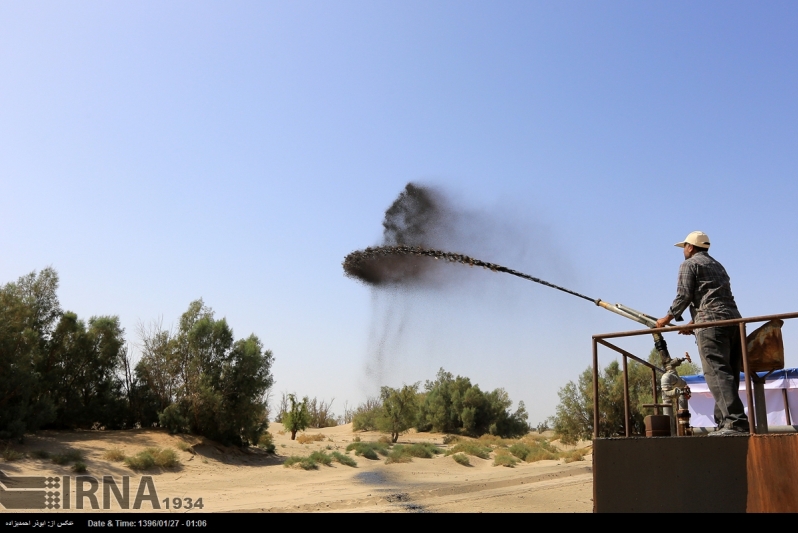Iran among top 5 states in sand dune stabilization