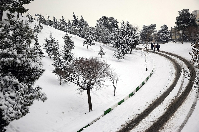 برف ارتباط 60 روستای جوانرود را قطع كرد